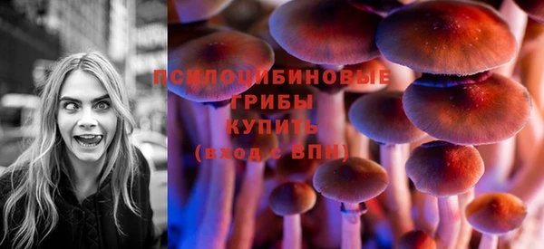 гидра Кукмор