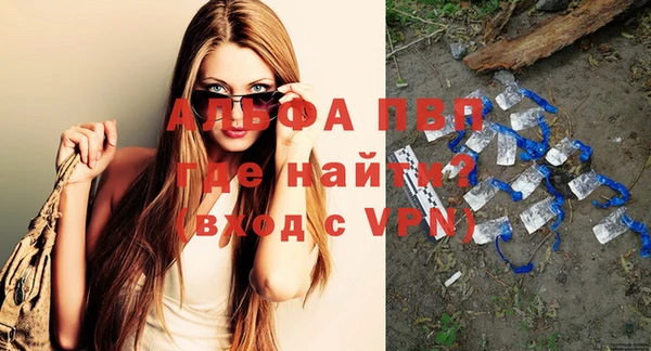 сатива Куйбышев
