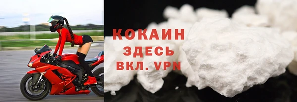 сатива Куйбышев