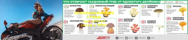 гидра Кукмор