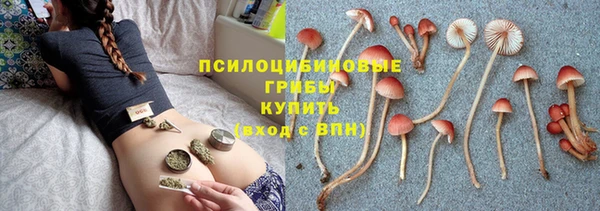 ПСИЛОЦИБИНОВЫЕ ГРИБЫ Балахна