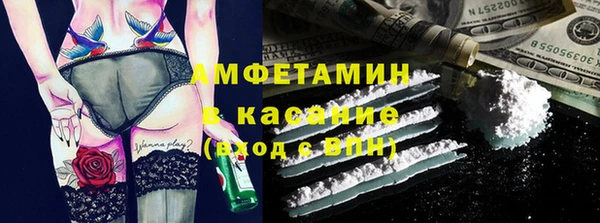 сатива Куйбышев